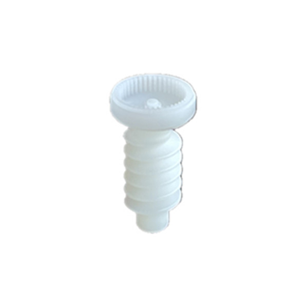 <b>Worm gear plastic mold</b>